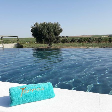 Terras - Agroturismo & Vinhos Beja Zewnętrze zdjęcie