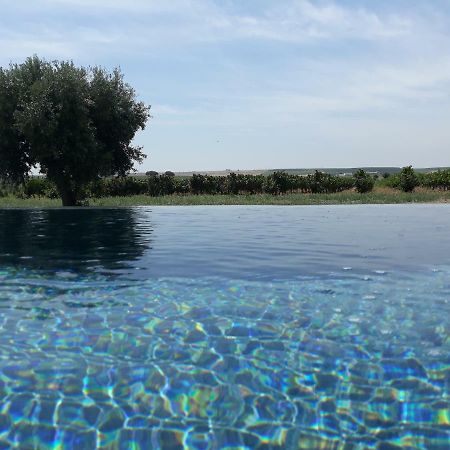 Terras - Agroturismo & Vinhos Beja Zewnętrze zdjęcie