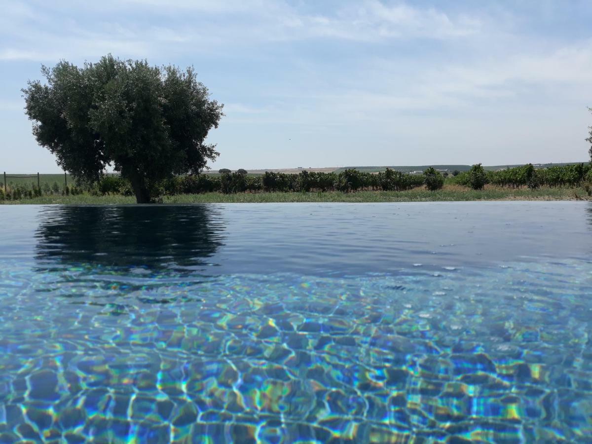 Terras - Agroturismo & Vinhos Beja Zewnętrze zdjęcie